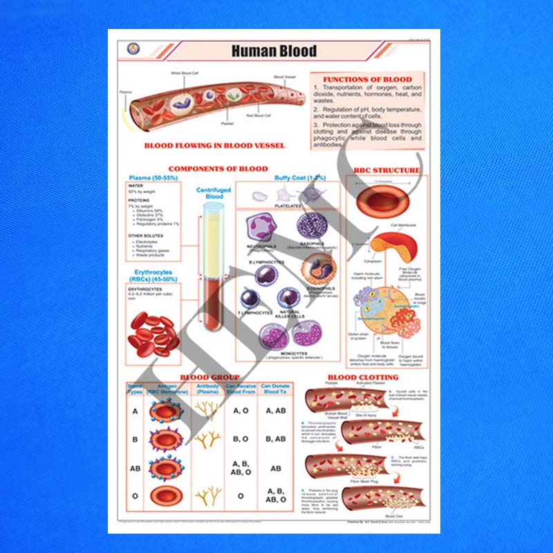 Human Blood – Laboratory-Products